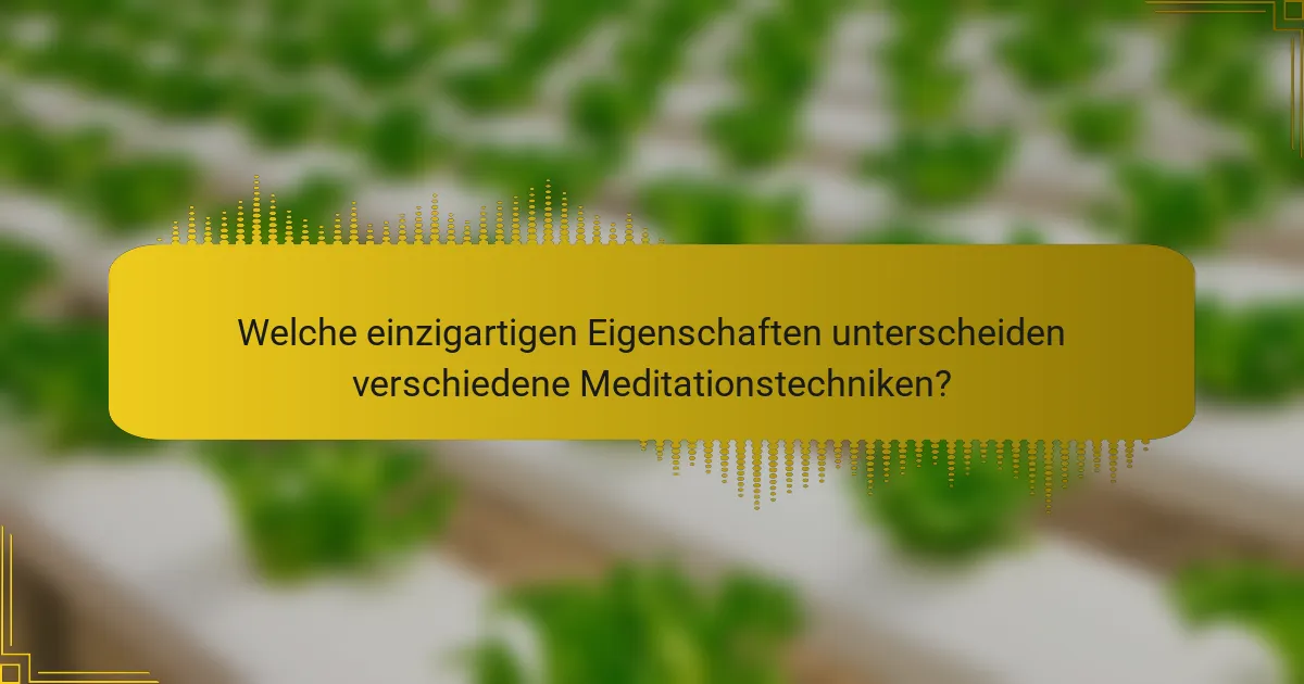 Welche einzigartigen Eigenschaften unterscheiden verschiedene Meditationstechniken?