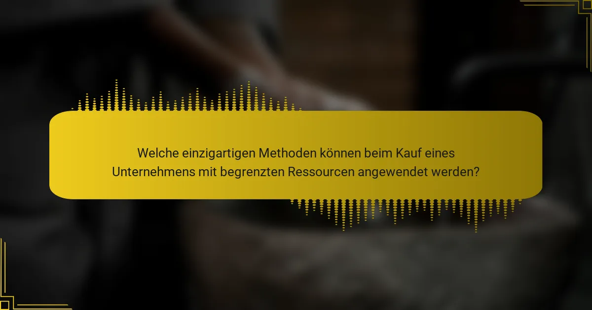 Welche einzigartigen Methoden können beim Kauf eines Unternehmens mit begrenzten Ressourcen angewendet werden?